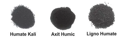 Acid Humic là gì? Nguồn gốc, đặc điểm và ứng dụng