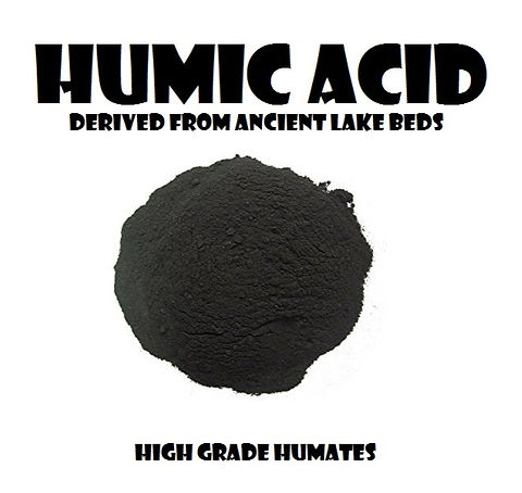 Lưu ý quan trọng khi sử dụng Acid Humic