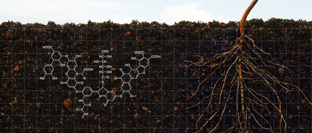 Ứng dụng Acid Humic trong sản xuất phân bón