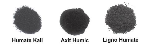 Acid humic và tối ưu hóa khả năng chịu đựng của cây trồng đối với điều kiện khí hậu biến đổi