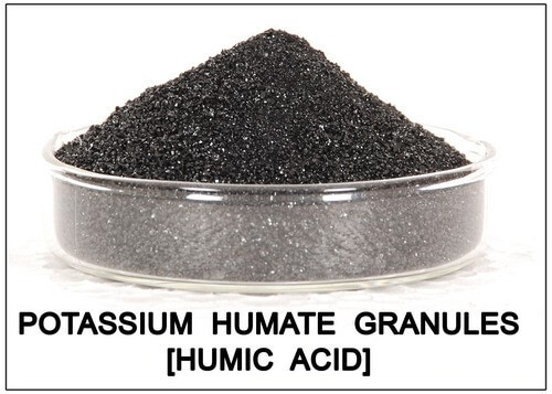 Tổng hợp các nghiên cứu khoa học về Acid Humic