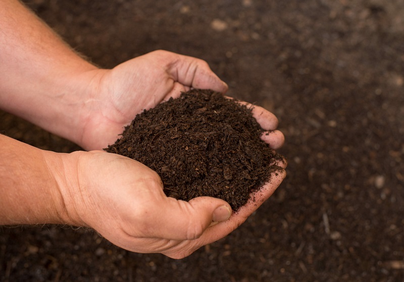 Tương lai của Humic trong ngành nông nghiệp