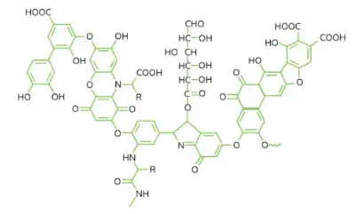 Ứng dụng acid humic trong việc phục hồi đất bị xói mòn