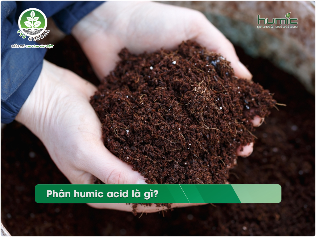 Ứng dụng acid humic trong việc tái tạo đất sau thiên tai và hiện tượng tự nhiên khác